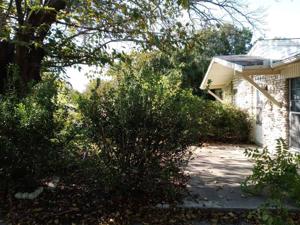 Tree Removal image